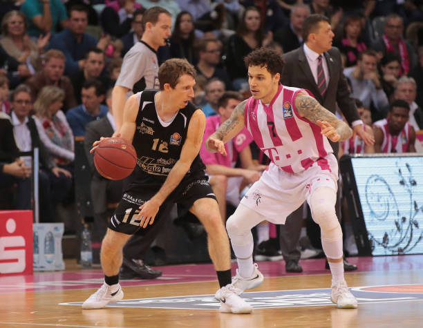 鲜明对比的 鲜明对比的